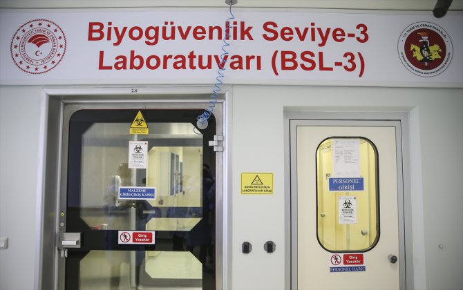 Kovid-19 anti-serumu için virüsün hayvanlara verilmesine haftaya başlanacak