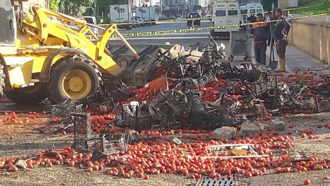 Şanlıurfa'de devrilen kamyonun sürücüsü öldü
