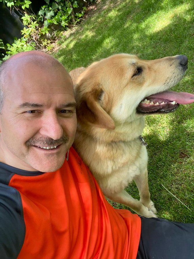 İçişleri Bakanı Süleyman Soylu, sahiplendiği sokak köpeklerinin fotoğraflarını paylaştı