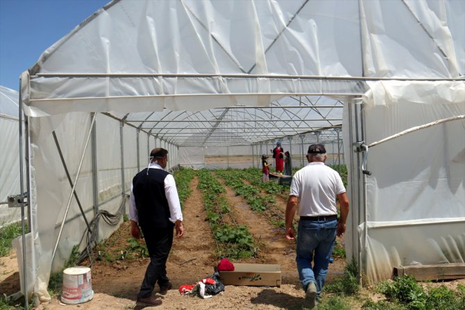 Kırşehir'de alternatif tarım ürünleri için 150 çiftçiye 3 milyon liralık destek