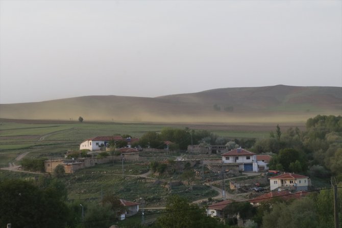 Yozgat'ta bir köy sinek istilasına uğradı