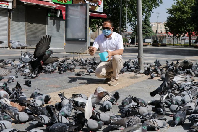 Sokağa çıkma kısıtlaması bulunan Kayseri'de sokak hayvanları unutulmadı