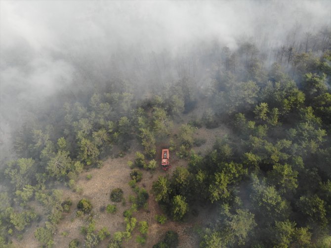 GÜNCELLEME - Kütahya'da orman yangını kısmen kontrol altına alındı