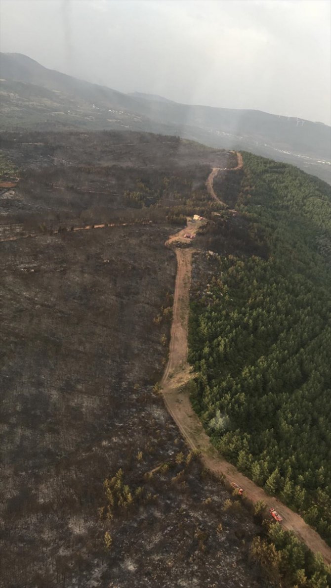 Muğla'da yanan ormanlık alan havadan fotoğraflandı