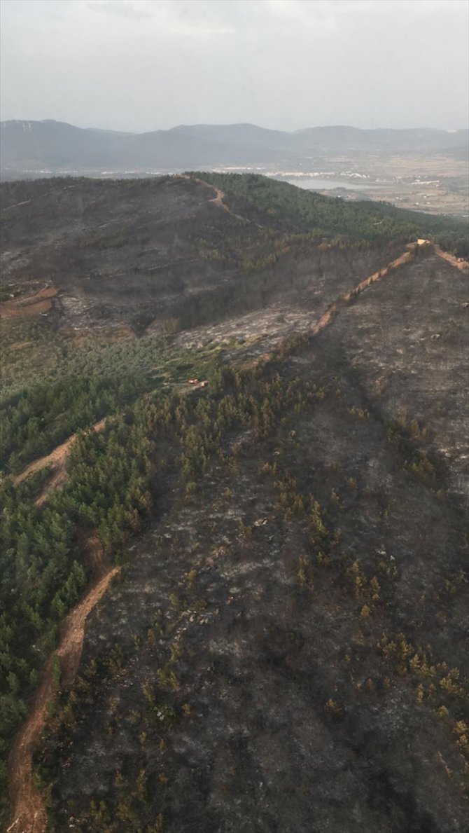 Muğla'da yanan ormanlık alan havadan fotoğraflandı