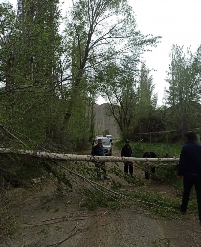 Erzurum'da şiddetli rüzgar çatıları uçurdu, ağaçları devirdi