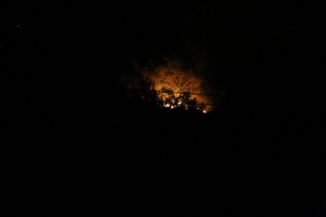 GÜNCELLEME - Mersin'de orman yangını
