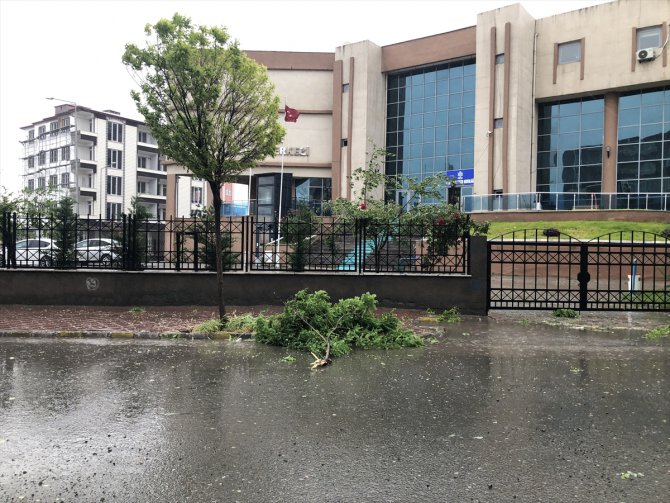 Iğdır'da şiddetli yağış ve fırtınada bazı binaların çatısı uçtu, ağaçlar devrildi