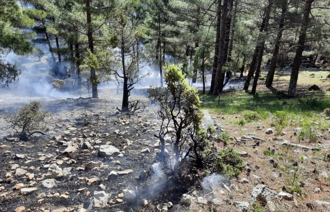 Manavgat'ta ormanlık ve otluk iki alanda yangın