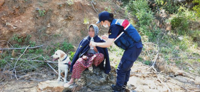 Mersin'de dün kaybolan kadın ormanda uyurken bulundu