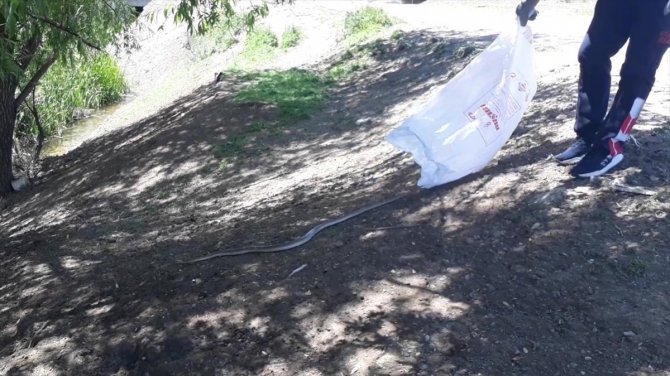 Erzincan'da çocuk parkındaki 2 metrelik yılan itfaiye ekiplerince yakalandı