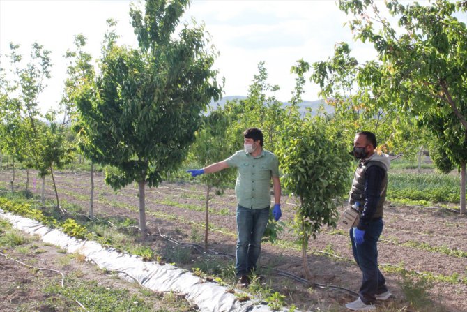 Kayseri'de koronavirüs tedavisi gören çiftçinin işlerini ekipler yaptı
