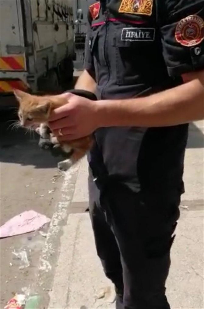 Bursa'da marketin demir sütununda sıkışan kedi kurtarıldı