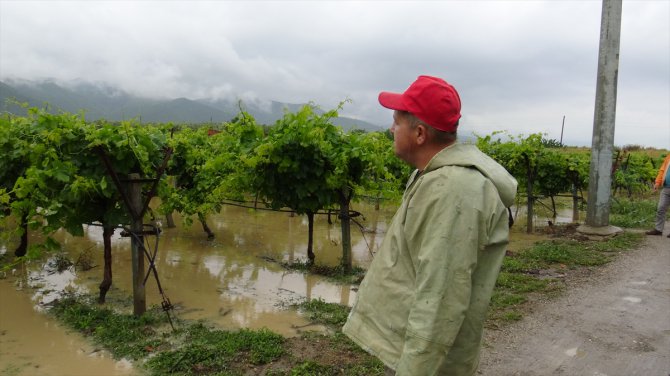 Bursa'da sağanak yağış tarım arazilerini su altında bıraktı