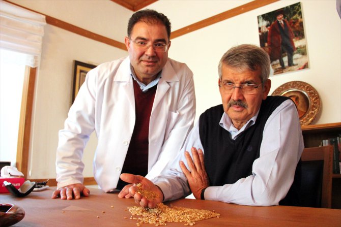 Cumhuriyetin 100’üncü yılına 2 bin yıllık "Ahmet Buğdayı" tohumu
