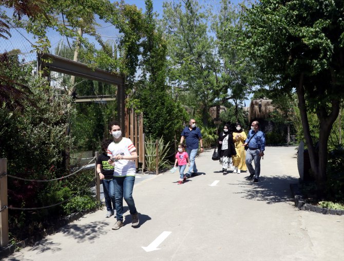 Kocaeli'ndeki hayvanat bahçesi kapılarını yeniden ziyarete açtı