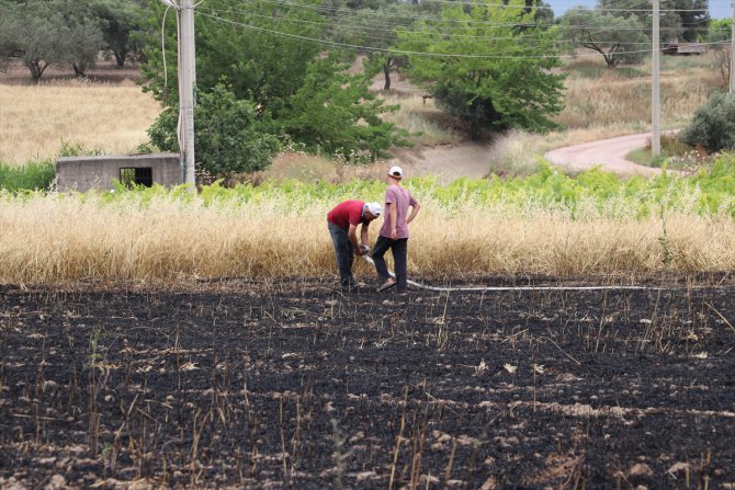 Manisa'da hasat yapılan tarlada yangın çıktı