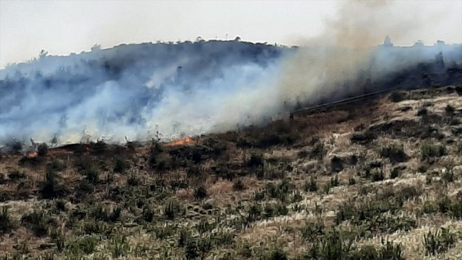 Muğla'da makilik alanda yangın çıktı