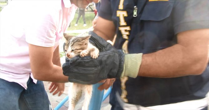 Afyonkarahisar'da tahterevallide sıkışan kedi yavrusunu itfaiye kurtardı