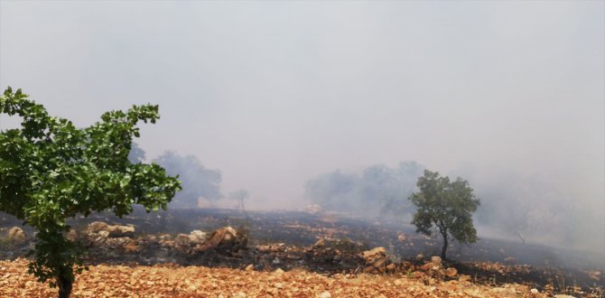 GÜNCELLEME - Gaziantep'te orman yangını