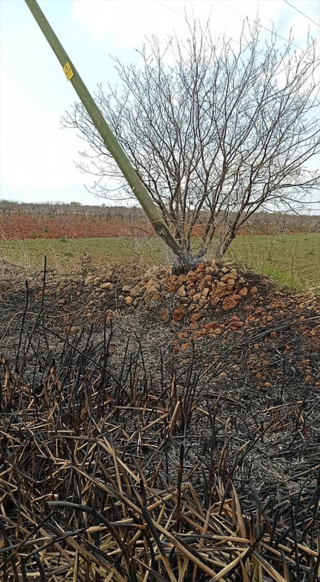 Şanlıurfa'da anız yangınlarında 26 elektrik direği zarar gördü