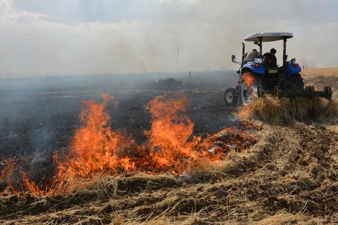 Şanlıurfa'da çıkan yangında 400 dönümlük ekili alan zarar gördü