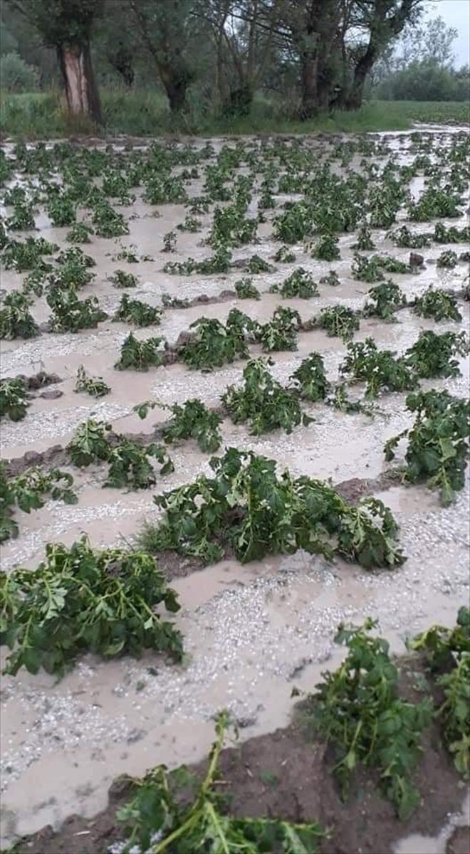 Kastamonu'da dolu tarım arazilerine zarar verdi