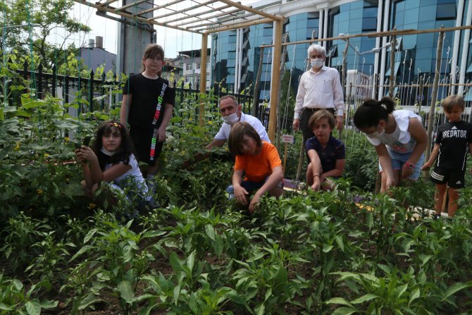 Öğretmen ve öğrencileri okul bahçesinde sebze üretiyor
