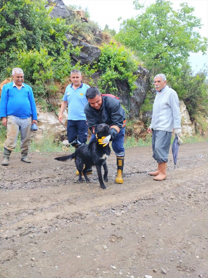 Mersin'de dereye düşen köpeği itfaiye ekibi kurtardı