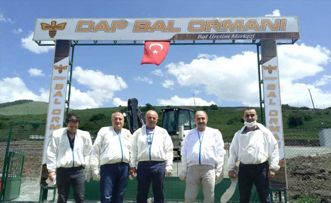Erzurum'da arıcılığın desteklenmesi amacıyla "bal ormanı" oluşturuldu