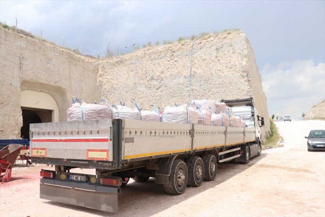 Yerli patates tohumu "Onaran 2015"in üreticiye satışı yapıldı
