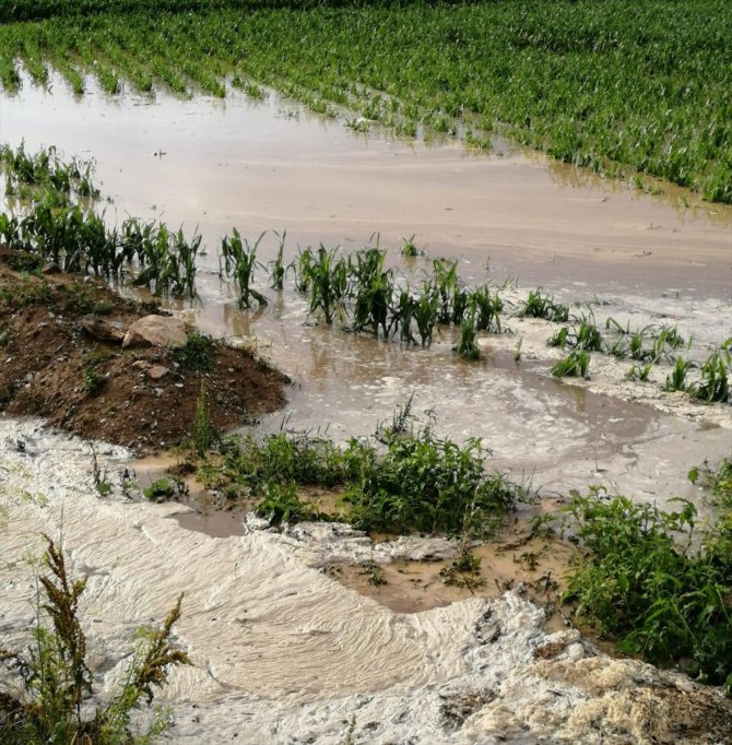 Amasya'da dolu ve sağanak 40 bin dekar tarım arazisine zarar verdi