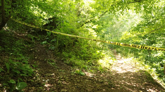 Yalova'da ormanda cesedi bulunan kişinin ev arkadaşı tutuklandı