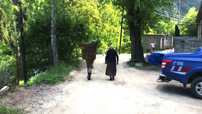 Jandarma yaşlı kadının sırtındaki ot dolu sepeti alarak evine kadar taşıdı