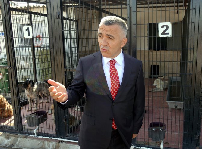 Kırklareli Valisi Bilgin: "12 köpeği katleden şüpheliler tespit edildi"