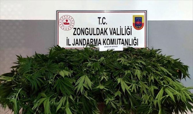 Zonguldak'ta uyuşturucu operasyonlarında 4 kişi gözaltına alındı
