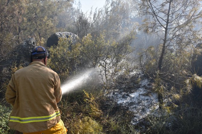 GÜNCELLEME - Adana'da çıkan orman yangını kontrol altına alındı