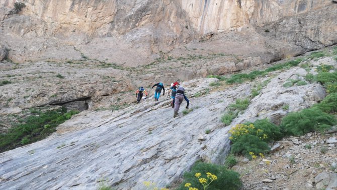 Hakkari'deki Sümbül Dağı'na zirve tırmanışı