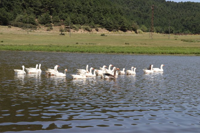 Buldan Yayla Gölü'nün Doğal Sit Alanı ilan edilmesi memnuniyetle karşılandı
