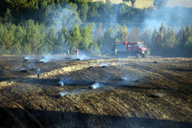 Uşak'taki yangında 40 dönüm ekili alan, 5 dönüm ormanlık alan zarar gördü