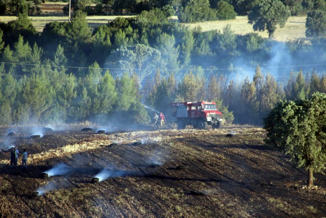 Uşak'taki yangında 40 dönüm ekili alan, 5 dönüm ormanlık alan zarar gördü