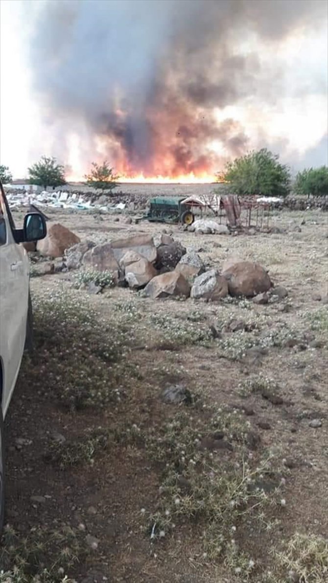 Diyarbakır'da yıldırım nedeniyle çıkan yangında bin dönüm ekili alan zarar gördü
