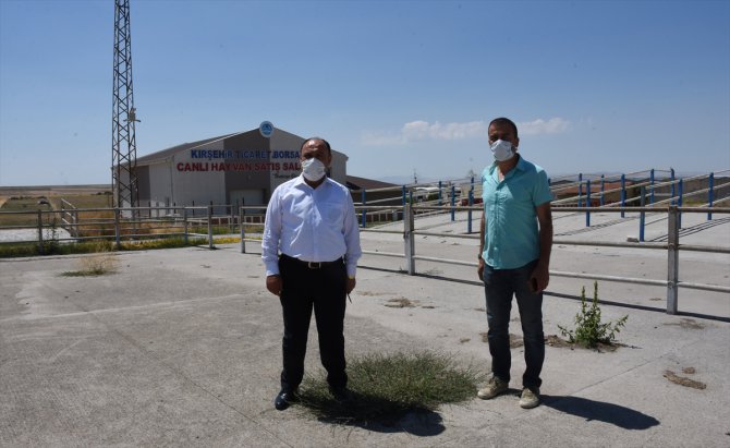 Kırşehir'de canlı hayvan pazarı 4 ay sonra yeniden açılıyor