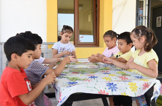 Mersin'de minik öğrenciler yetiştirdikleri ürünlerin hasadını yaptı