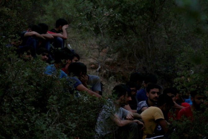 Muğla'da 54 düzensiz göçmen yakalandı