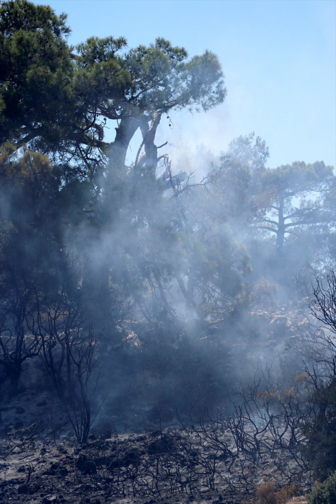 GÜNCELLEME - Muğla'da çıkan orman yangını söndürüldü