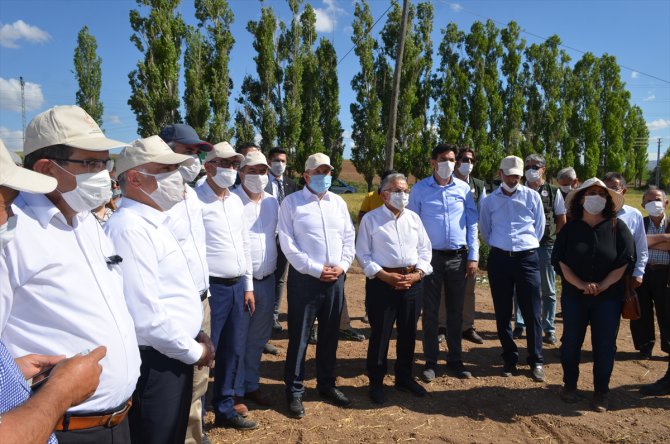 TAGEM Genel Müdürü Kayacan: "72 yeni tohum çeşidini hizmete sunduk"