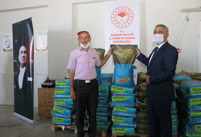 Samsun'da çiftçilere 6 ton silajlık mısır tohumu dağıtıldı