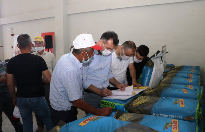 Samsun'da çiftçilere 6 ton silajlık mısır tohumu dağıtıldı