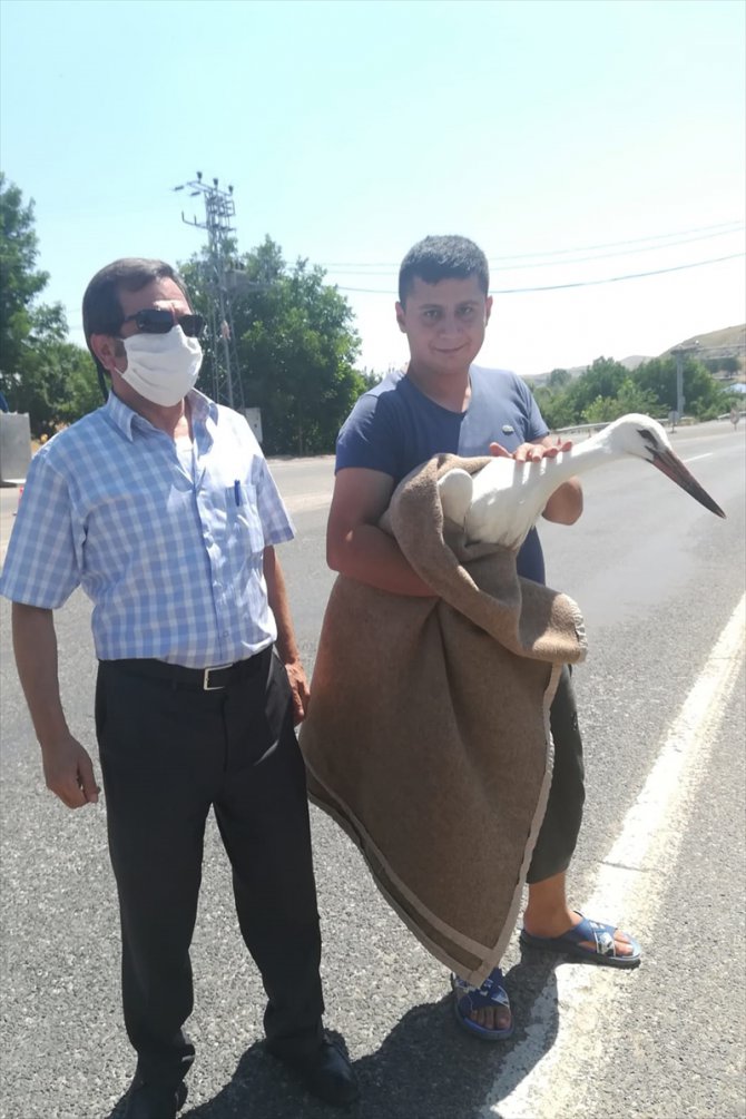 Tunceli'de Mehmetçik ve görevliler yuvasından düşen minik leylek için seferber oldu
